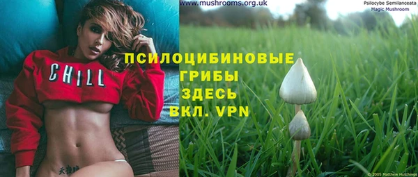 не бодяженный Волоколамск
