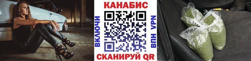 Конопля сатива  Купить закладки  Малмыж 